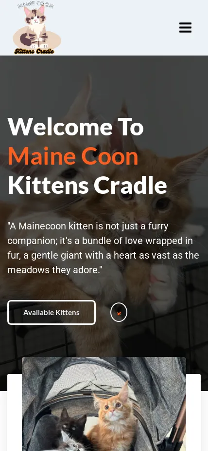 Mainecoonkittenscradle.com Screenshot